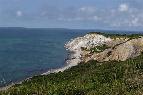 whale watching martha's vineyard